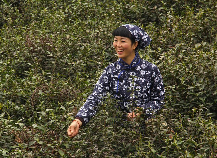 热门推荐11
